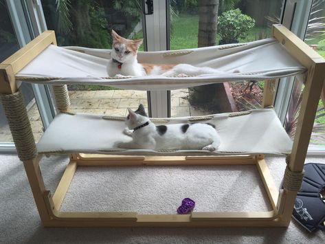 Imgur: The most awesome images on the Internet. Homemade Cat Tree, Cat Bunk Beds, Diy Cat Hammock, Katt Diy, Tree Hammock, Grumpy Cats, Katt Grejer, Diy Cat Bed, Diy Hammock