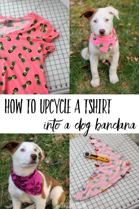 See how to upcycle a tshirt into a dog bandana with this free PDF pattern and photo tutorial! A fun beginner sewing project to sew for dogs. Diy Dog Bandana Pattern, Diy Dog Bandana, Diy Bandana, Dog Bandana Pattern, Bandana For Dogs, Dogs Diy Projects, Diy Dog Toys, Dog Diy, Bandana Pattern