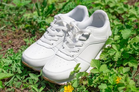 The Most Effective Ways to Clean White Shoes How To Clean White Shoes, Taste Of Home, Black Spot, Rhubarb, Helpful Tips, Pie Recipes, White Shoes, Cookies Et Biscuits, Cookie Recipes