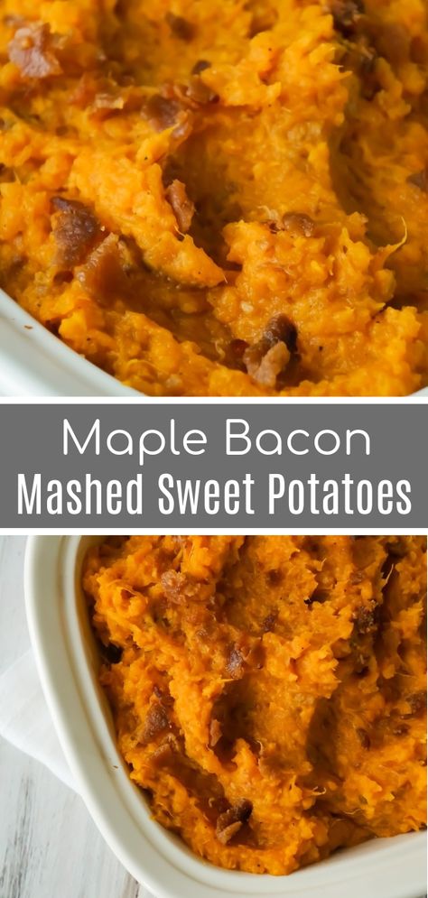 Maple Bacon Mashed Sweet Potatoes are an easy side dish recipe perfect for Thanksgiving. These mashed sweet potatoes are made with maple syrup and real bacon bits. Side Items, Side Dish Recipes Easy, Easy Side Dish, Maple Bacon, Bacon Bits, Mashed Sweet Potatoes, Sweet Potato Casserole, Thanksgiving Side Dishes, Sweet Potato Recipes