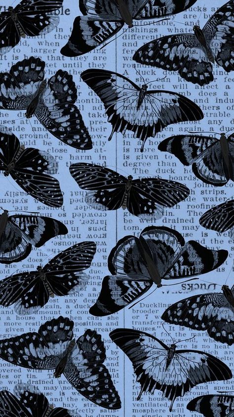 Butterfly Wallpaper Black, Wallpaper Black Butterfly, Black Butterfly Wallpaper, Butterfly Phone Wallpaper, Wallpaper Butterfly, Pink Scrapbook, Black And Blue Wallpaper, Blue Butterfly Wallpaper, Dark Blue Wallpaper