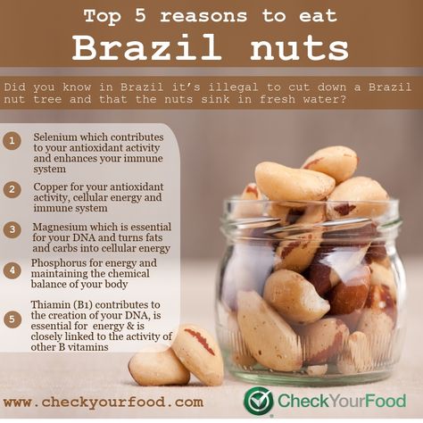 Health benefits of brazil nuts - Check Your Food Brazil Nuts Benefits, Nuts Health Benefits, Nut Benefits, Healthy Nuts, Food Health Benefits, Brazil Nuts, Healing Food, Food Facts, Healthy Snacks Recipes