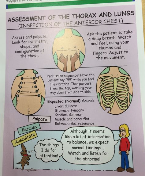 Assessment of the thorax and lungs Thorax And Lungs Assessment, Lung Assessment Nursing, Nremt Study, Respiratory Assessment, Health Assessment Nursing, Assessment Nursing, Pacu Nursing, Nursing Study Tips, Nursing Assessment