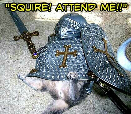 Sir Leadbottom's campaign temporarily halted... Cat Knight, Man Overboard, Long Goodbye, Kitty Pics, Cats Pictures, Cat Humor, Cray Cray, Silly Cats Pictures, Knight In Shining Armor