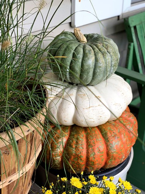 Stack of pumpkins on a fall porch Pumpkin Topiary Diy, Stack Of Pumpkins, Pumpkin Porch Decor, Porch Goals, Fall Entry, Pumpkin Planter, Porch Pumpkins, Fall Vignettes, Pumpkin Display