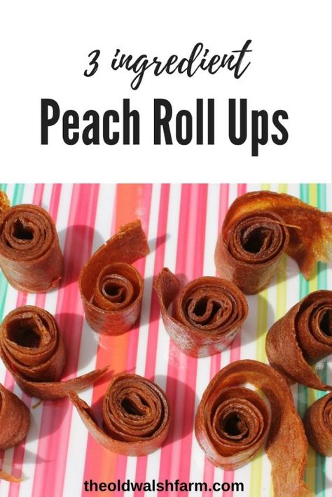 Fruit Roll Ups Homemade, Homemade Fruit Roll Ups, Water Bath Cooking, Scratch Cooking, Roll Ups Recipes, Fruit Roll, Perfect Peach, Fruit Leather, Fruit Roll Ups