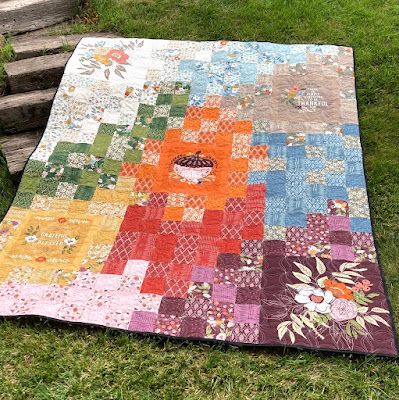 Quilt Themes, String Quilt, Fall Quilts, Leftover Fabric, How To Finish A Quilt, Tula Pink, Panel Quilts, Moda Fabrics, Walking In Nature