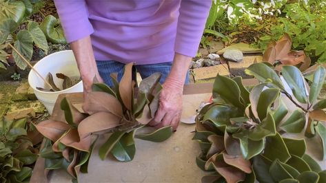 Gold Magnolia Leaves, Magnolia Leaf Garland Diy, Christmas Decor With Magnolia Leaves, Magnolia Leaf Arrangement, How To Preserve Magnolia Leaves, Magnolia Leaves Christmas, Magnolia Arrangement, Tree Fillers, Magnolia Leaf Garland