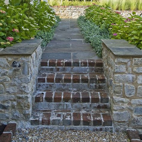 Acres Wild, Country Garden Design, Box Hedging, Master Planning, Contemporary Barn, South Downs, Sensory Garden, Wild Country, Garden Steps