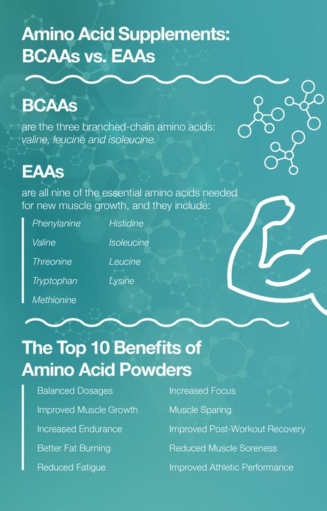 Amino Acids Benefits, Creatine Benefits, Bcaa Supplement, Amino Acid Supplements, Muscle Building Diet, Muscle Protein, Post Workout Recovery, Building Muscle, Workout Supplements