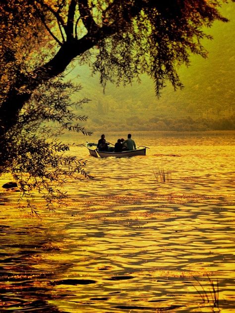 'Autumn and Golden Lake' by Mustafa ILHAN on 500px #Uluabat_Lake #Turkey Golden Lake, Exotic Places, Autumn Beauty, Unique Photo, Mellow Yellow, Beautiful Photography, Beautiful World, Wonders Of The World, Beautiful Nature