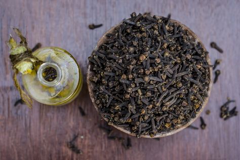 Clove Oil As a Dry Socket Remedy | Livestrong.com Tooth Pulled, Dry Socket, Clove Oil, Tooth Extraction, Oil Pulling, Home Remedies, Essential Oils, Most Popular