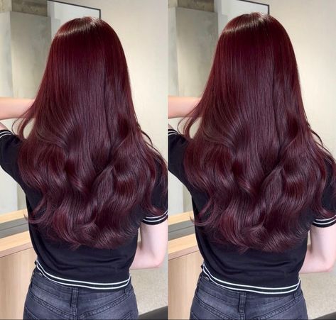 Red Global Hair Color, Red Hair Eyebrows, Dark Raspberry Hair, Wine Brown Hair, Chestnut Red Hair Color, Wine Color Hair, Red Hair No Bleach, Red Wine Hair Color, Mahogany Brown Hair Color