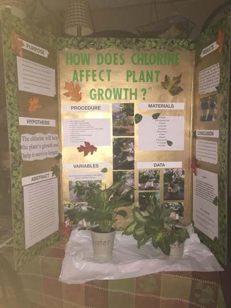 Environmental Science Fair Projects, Science Fair Boards Ideas, Hydroponic Science Fair Project, Science Fair Board Aesthetic, Environment Science Projects, Aesthetic Science Fair Projects, Science Fair Projects Aesthetic, Science Fair Project Ideas High School, Science Fair Topics Middle School