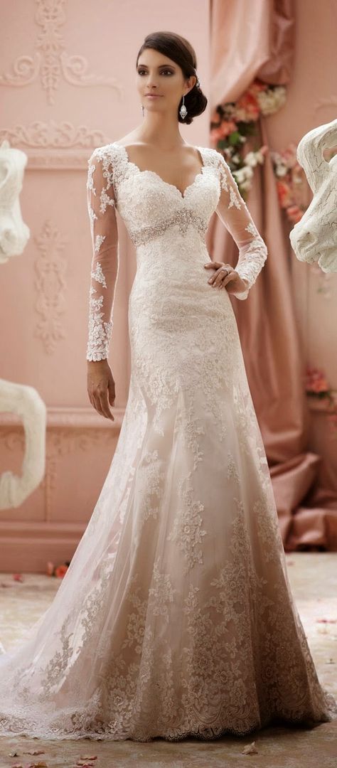 Winter Wedding Dresses - Belle The Magazine David Tutera Wedding Dresses, Wedding Dress Empire, David Tutera Wedding, Baju Kahwin, 2015 Wedding, David Tutera, Pnina Tornai, Wedding Apparel, Sophisticated Bride