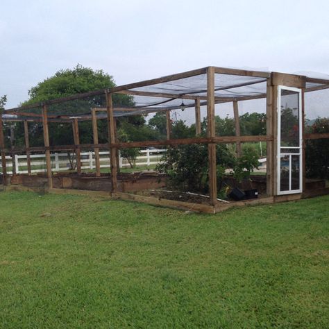 My garden enclosure is finished -now planting! Garden Enclosure Ideas, Chook Pen, Garden Enclosure, Fenced Vegetable Garden, Enclosure Ideas, Diy Garden Fence, Garden Frame, Garden On A Hill, Veg Garden