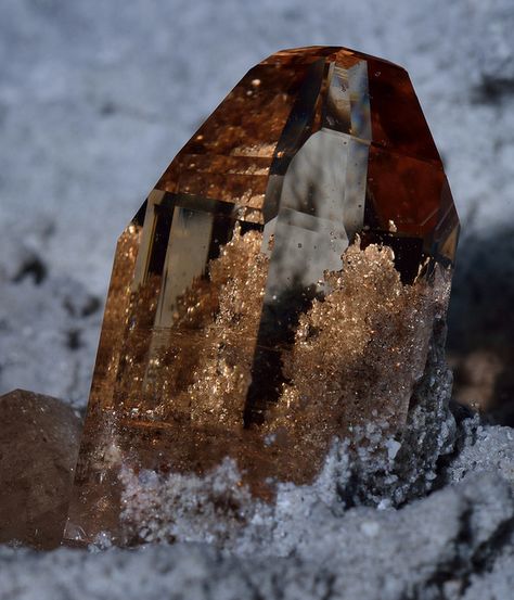 A beautiful Topaz crystal on a block of matrix. The top half is nearly eye-clear. The matrix behind the crystal turns golden and looks as though it is within the stone. THE VERY NATURE OF BROWN Brown Crystals, Rough Gems, Topaz Crystal, Brown Gemstone, Smokey Topaz, Brown Stone, Pretty Rocks, Cool Rocks, Crystal Geode