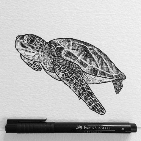 Turtle Ink Drawing, See Turtle Drawing, Sea Turtle Tattoo Realistic Black And Grey, Green Turtle Tattoo, Turtle Pencil Drawing, Loggerhead Sea Turtle Tattoo, Turtle Sketch Pencil Drawings, Sea Turtle Tattoo Realistic, Green Sea Turtle Tattoo