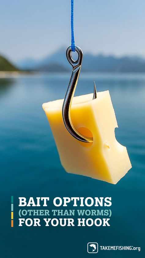 Worms are not the only bait that can be used to catch fish. Find out what else you can use, including items from the fridge to catch fish: How To Bait A Hook, Liyue Harbor, Bluegill Fishing, Carp Fishing Rigs, Fish Types, Fishing Hacks, Homemade Fishing Lures, Diy Fishing Lures, Bass Bait