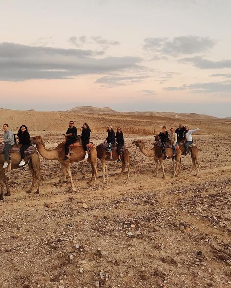 Felicia Bodaxell † on Instagram: “NEGEV DESERT, okay so a few days ago we rode on camels in the Negev Desert. as if that was not enough, we also slept in a Bedouin camp…” Negev Desert, Big Tent, Desert Sunrise, Travel 2024, Gap Year, Donkeys, Shooting Stars, Not Enough, Asia Travel