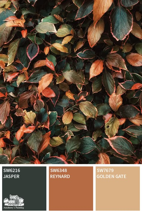 Fall Color Aesthetic, Fall Color Inspiration, Classical Color Palette, Fall Colour Pallet, Light Fall Color Palette, Dark Fall Colors, Thanksgiving Color Scheme, Autumn Paint Palette, September Colour Palette