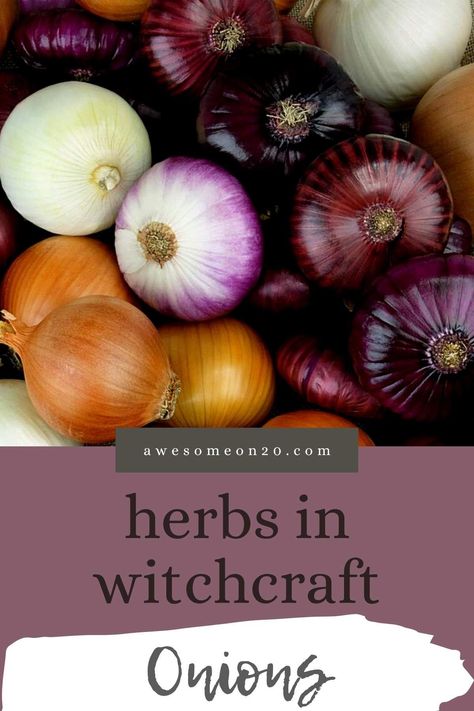 Herbs Meanings, Herbs In Witchcraft, Herbs For Love, Herb Meanings, Herbs For Witchcraft, Witch Meaning, Kitchen Magick, Witch Recipes, Carve A Pumpkin