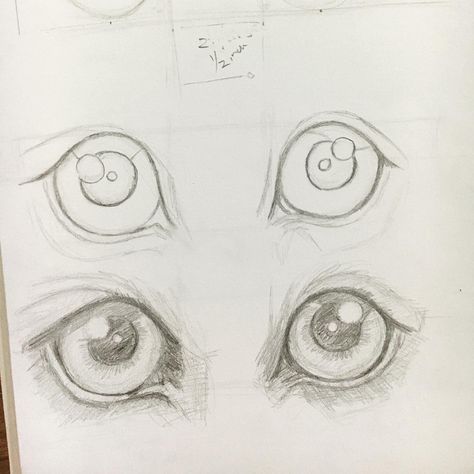 Sketch of dog eyes How To Draw Dog Eyes Step By Step, Dogs Eyes Drawing, Dog Eye Drawing, Dog Eyes Drawing, Sketch Of Dog, Realistic Animal Drawings, Eye Sketch, Dog Sketch, Dog Eyes