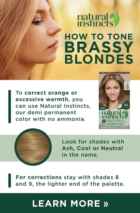 How to Tone Brassy Blonde Hair with Clairol Natural Instincts: To correct orange or excessive warmth, you can use Natural Instincts, our demi-permanent color with no ammonia. Look for shades with Ash, Cool, or Neutral in the name. For corrections, stay with shades 8 and 9, the lighter end of the palette. Click here to learn more → https://bit.ly/3jm6who Natural Instincts Hair Color, Brassy Blonde Hair, Clairol Natural Instincts, Clairol Natural, Brassy Blonde, Brassy Hair, Demi Permanent, At Home Hair Color, Hair Color Shades