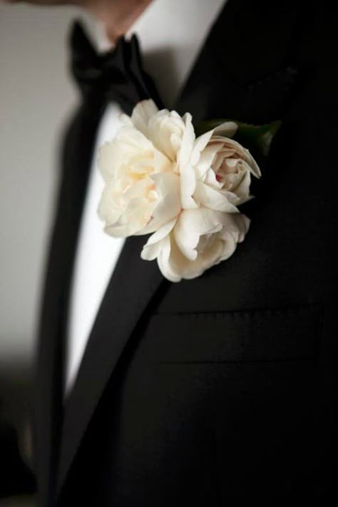 Peony Boutonniere, White Tie Event, Prom Flowers, Black Tie Affair, Black White Wedding, Sydney Wedding, Black Tie Wedding, Black Tie Event, Southern Wedding