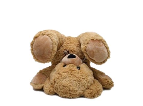 Brown Teddy Bear, Teddy Bear, White