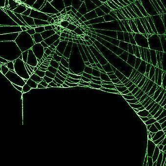 Green Spider Aesthetic, Green Gothic Aesthetic, Black And Dark Green Aesthetic, Uv Photography, Green Inspo, Like Symbol, Whimsical Halloween, Charming Man, Green Theme