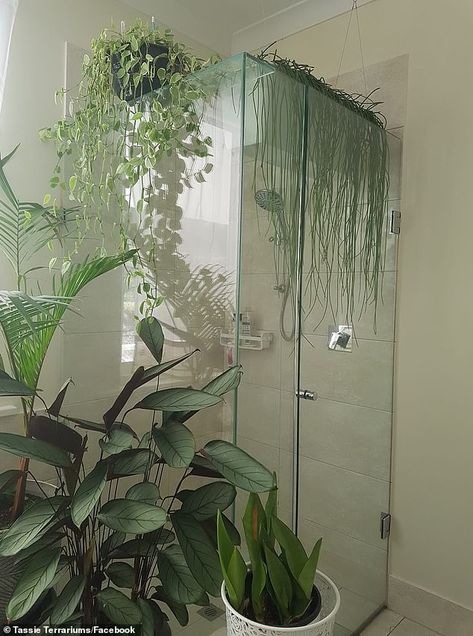 A shower surrounded by greenery offers a serene space and has been proven to boost your mo... Shower With Plants Inside, Showers With Plants, Bedroom Bathroom Combo, Plant Ledge, Bathroom Redesign, Shower Surround, Bathroom Renos, After Photos, The Shower