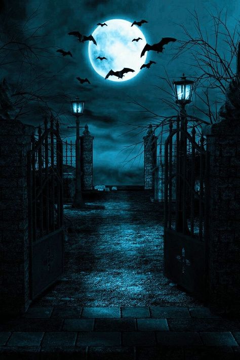 Scary Night Aesthetic, Dark Moon Background, Black And White Halloween Aesthetic, Gothic Aesthetic Wallpaper, Graveyard Pictures, Gothic Backgrounds, Bat Aesthetic, Graveyard Tattoo, Gothic Background