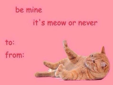 Cat valentines card Meme Valentines Cards, Corny Valentines, Funny Valentine Memes, Bad Valentines Cards, Silly Valentines, Bad Valentines, Cheesy Valentine, Vday Cards, Valentines Memes