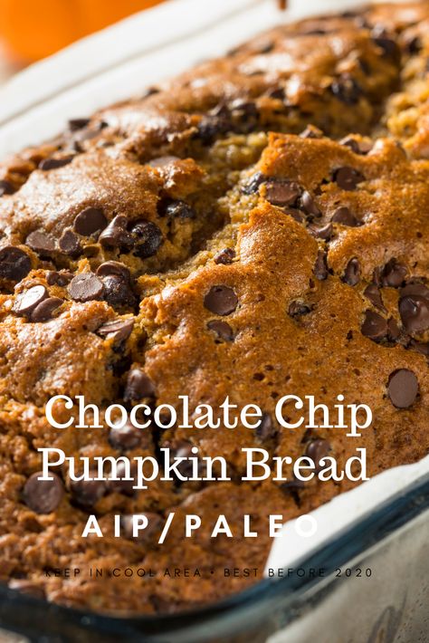 AIP/Paleo chocolate chip pumpkin bread delicious seasonal bread Aip Pumpkin, Autoimmune Diet Recipes, Aip Diet Recipes, Chocolate Pumpkin Bread, Paleo Pumpkin Bread, Best Pumpkin Bread Recipe, Autoimmune Recipes, Bread Chocolate, Pumpkin Bread Easy