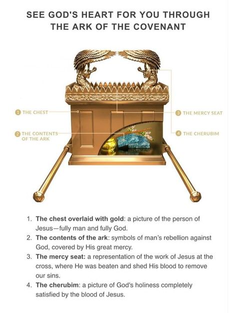 Inside The Ark Of The Covenant, The Arc Of The Covenant, Arc Of Covenant, The Tabernacle In Exodus, Covenants In The Bible, Ark Of Covenant, Tabernacle Of David, Biblical Pictures, Tabernacle Of Moses