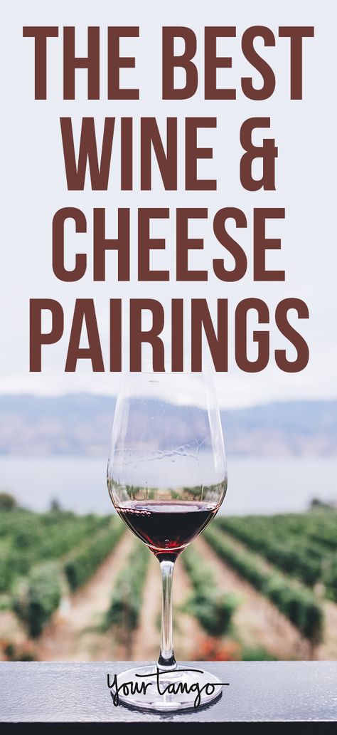 Wine and cheese go together perfectly, but there are different types of each and you need to know which pairings work best. #food #wine #cheese #best Wine Tasting Food Pairings, Wine And Cheese Pairings, Wine Tasting Food, Wine Pairing Party, Red Wine Pairing, Type Of Cheese, Charcuterie Board Diy, Wine Cheese Pairing, Kinds Of Cheese