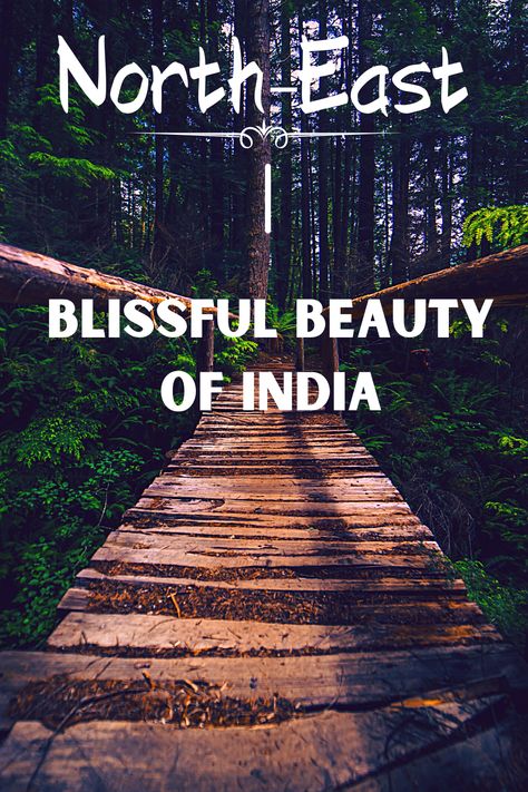 North East India, Tea Estate, Northeast India, States Of India, Wild Forest, Majestic Mountains, Dream Places, The Blue Mountains, Scenic Beauty