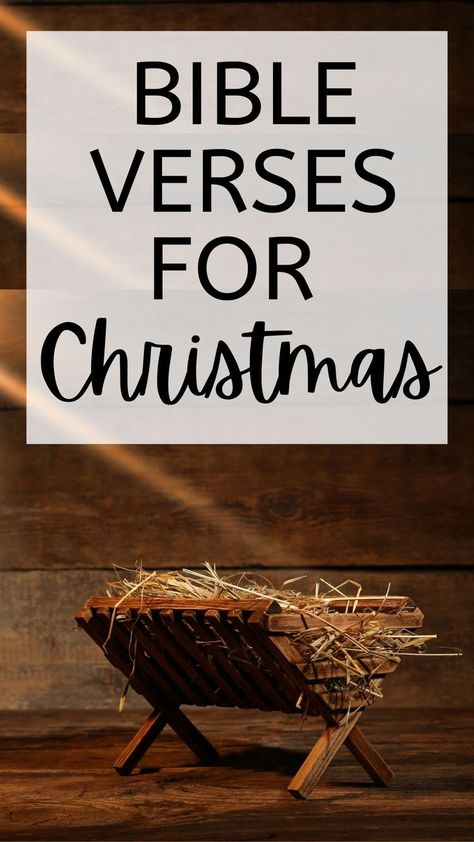 Do you want to have a Christ centered Christmas? Be sure to read the Christmas story from scripture! Here are 25 Bible verses that you can read yourself or to your kids this Christmas. Advent Quotes Christmas, Advent Bible Verses, Christmas Bible Verses Quotes, Christmas Bible Verses Scriptures, Christmas Story Quotes, Advent Scripture, Catholic Bible Verses, Christmas Verses, Christmas Scripture