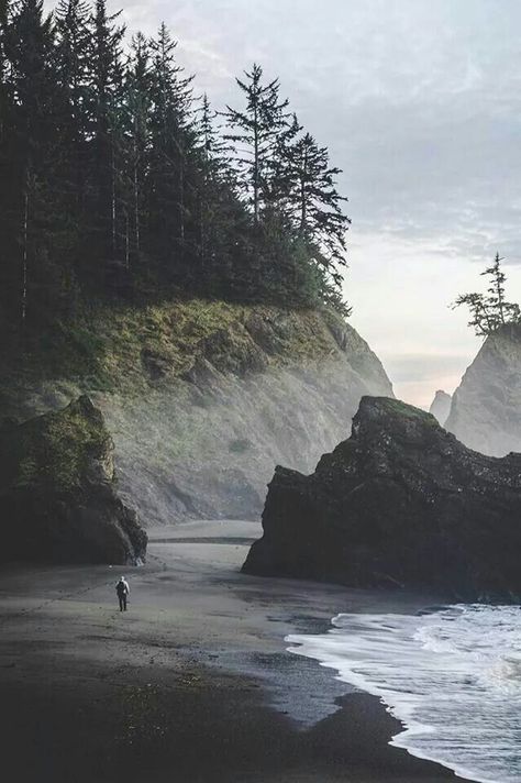 travel | explore | wanderlust | wild and free | wanderer | distant places | searching | forest | sea | Coastal Vibes, Image Nature, Oregon Coast, Pretty Places, Nature Travel, Pacific Northwest, Solo Travel, Beautiful World, Beautiful Landscapes