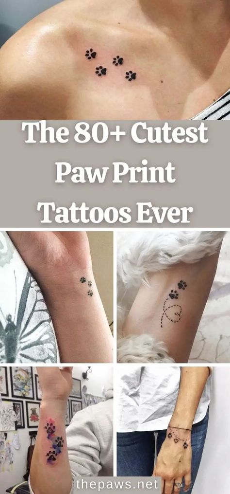 Paw Print Ankle Tattoos For Women, 3 Cat Paw Print Tattoo, Cute Dog Paw Tattoos, Doggie Paw Tattoo, Cute Dog Print Tattoo, Cat Paw Print Tattoo On Wrist, Dog Print Memorial, Dog Paw Prints Tatoos, Four Paw Print Tattoo