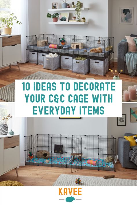 C C Cage Guinea Pigs Ideas, C&c Cage Ideas, Guniea Pig Indoor Cage, Guinea Pig C&c Cage Ideas, Indoor Guinea Pig Cage, Diy Cages For Small Animals, Ginny Pigs Cages, Guinea Pig Hutch, Diy Guinea Pig Cage