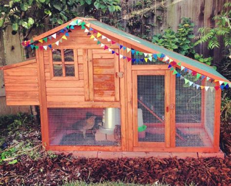 Urban Chicken Coop, Urban Chicken Farming, Start A Garden, Urban Backyard, Urban Chickens, Keeping Chickens, Backyard Chicken Coops, Mini Farm, Backyard Farming