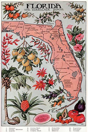 Illustration Friends, Florida Map, Map Of Florida, Travel Postcard, Old Florida, Vintage Florida, State Of Florida, Wedding Vintage, Ideas Vintage