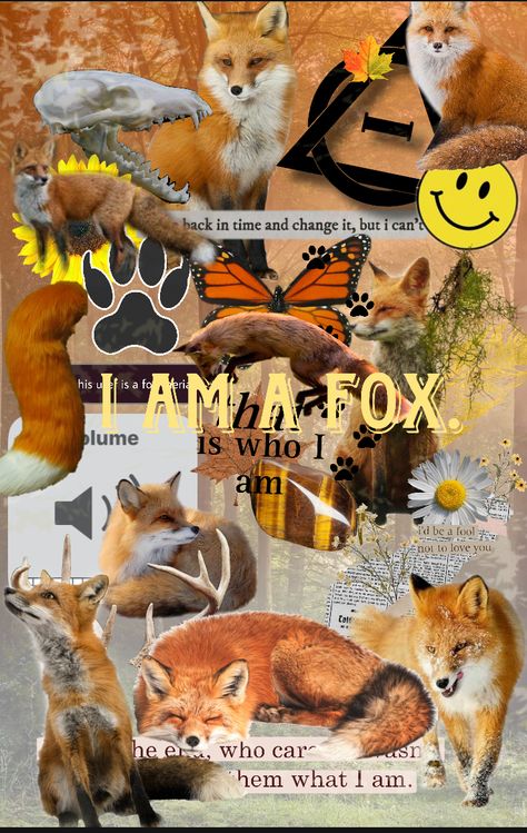 Shuffle Board, Fox Animal, Fox, Collage, Animals