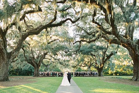 Wedding Venues South Carolina, Charleston South Carolina Wedding, Brookgreen Gardens, Charleston Wedding Venues, Charleston Sc Wedding, South Carolina Beaches, Wedding Venues Beach, South Carolina Wedding, Inexpensive Wedding Venues