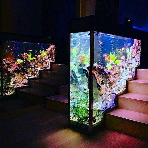 Fish Tank Wall, Fish Tank Themes, Wall Aquarium, Amazing Aquariums, Cool Fish Tanks, Fish Tank Design, Fresh Water Fish Tank, Fish Tank Ideas, Home Aquarium