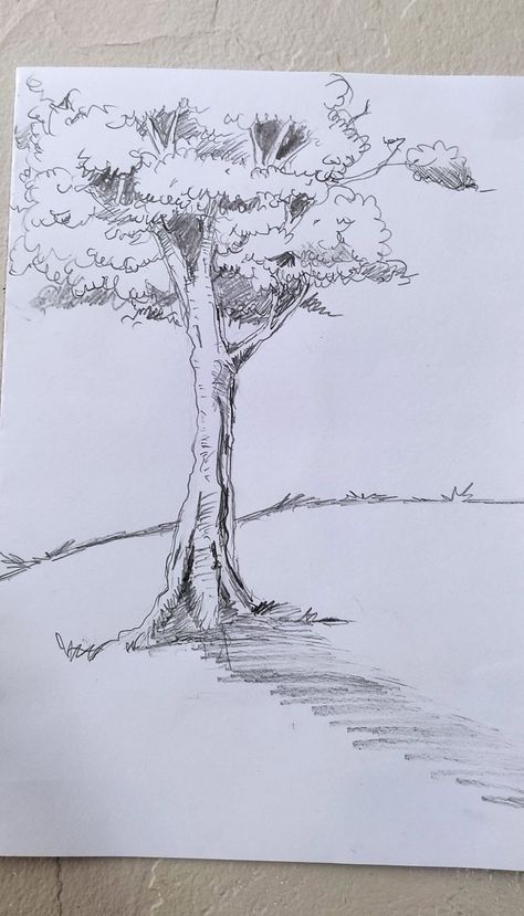 Sketches Of Trees Pencil, Tree Drawing With Pencil, A Tree Drawing Easy, Plants Pencil Drawing, Tree Hatching Drawing, Drawing Trees Pencil Sketch, Easy Tree Sketch, Detailed Tree Drawing, Anime Tree Drawing