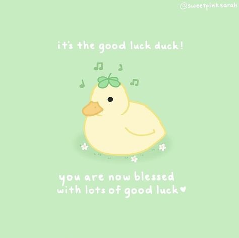 not my art!! Duck Quotes, Exam Wishes, Duck Memes, Cheer Up Quotes, Cute Animal Quotes, Duck Wallpaper, Cute Ducklings, Birthday Card Design, Cute Messages