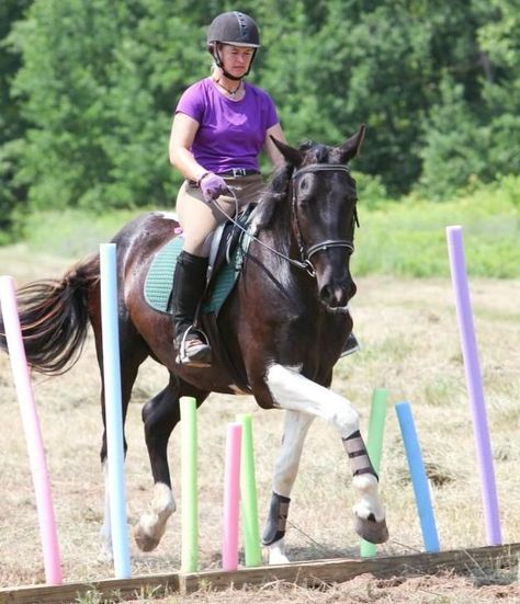 Check out these six obstacles guaranteed to make your horse more confident and have neighbors question your judgement in lawn decor. 1) Dr. Octopus (pictur... Horse Obstacle Course, Horse Obstacles, Riding Ideas, Paddock Trail, Obstacle Course Training, Horse Training Exercises, Horse Jumps, Horse Arena, Horse Exercises